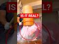 How A Mochi Meme Fooled Everyone #shorts