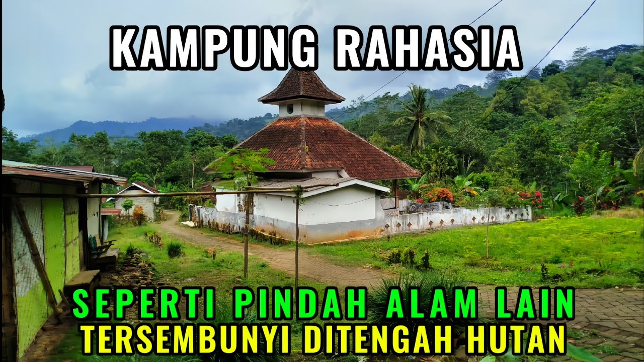 NEKAT SENDIRIAN MASUK HUTAN TERNYATA ADA KAMPUNG YANG TERSEMBUNYI 