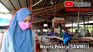 Pekerja Kayu Balak Seorang Wanita Di Salah Satu Sawmill Malaysia !! Kerja Teli