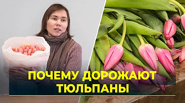 Сколько стоят цветы на Ямале. Откуда везут тюльпаны на Крайний Север
