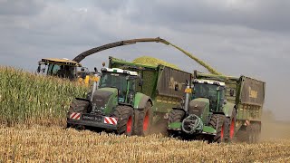 Mais 2022 : New Holland FR920 60th Anniversary / Fendt 1050 / Maishäckseln / Fendt 930 / Jansen / 4K