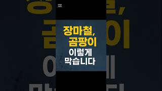 장마철 곰팡이 막는법 곰팡이 제거법 #꿀팁정보 #곰팡이방지 #곰팡이제거 #장마철