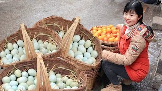 Rural girls go to town to sell earth eggs! 120 eggs are sold at a high price  and the chickens rais