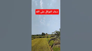 Explore Shortvideo Trending اكسبلور يصلك اللهم صل وسلم على نبينا محمد تصويري يارب Reels 