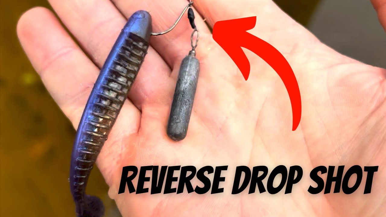 The Amazing Reverse Floating Drop Shot Rig! 