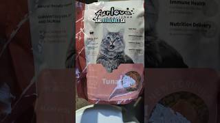 Time To Try A New Flavor For Your Cats