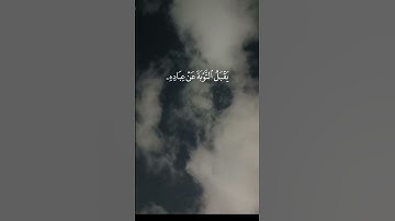 تلاوة خاشعة الشيخ ياسر الدوسري