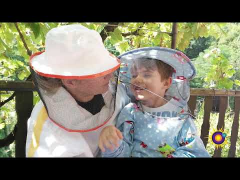 Video: Sjeverna pčela: karakteristike, korisna svojstva meda i popularnost