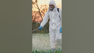 Rửa rau bằng nước muối có thực sự sạch? #MeoVat #AnToanThucPham #DailyTips #youtubeshorts