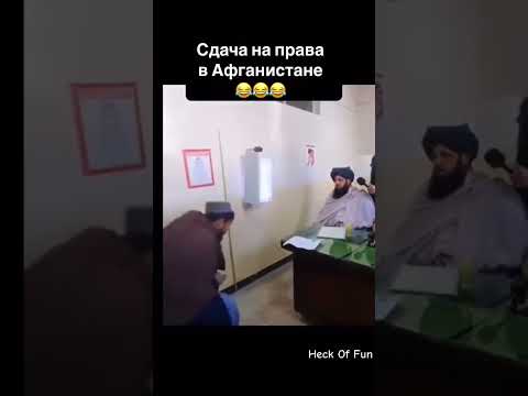Вот как нужно откатывать практику! #funny #приколы #комедия