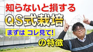 Si-10 珪酸