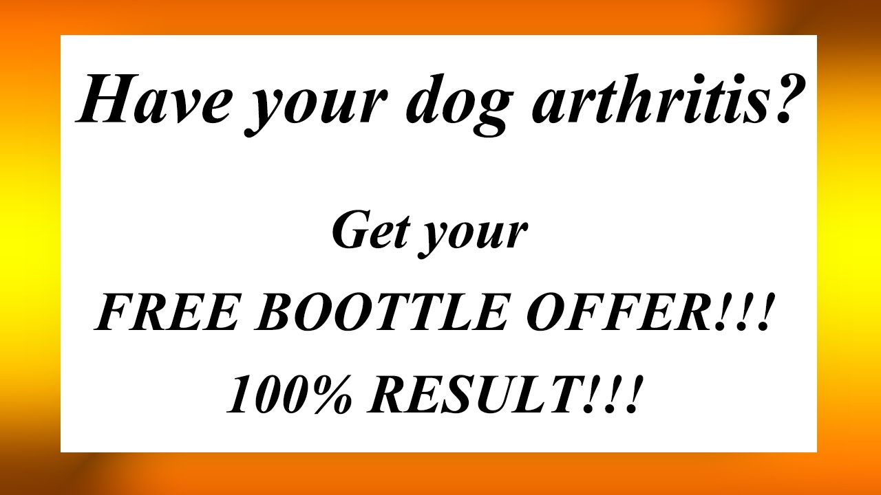 Arthritis in dogs Arthritis in dogs and cats YouTube