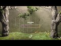 SYRE - Stranger (Visualizer) [Ultra Music]