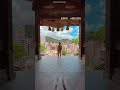 【九州の絶景５選】最近行った九州の絶景スポットをまとめてみた！みんなは九州だったら一番どこが好き？？#九州 #絶景 #九州絶景