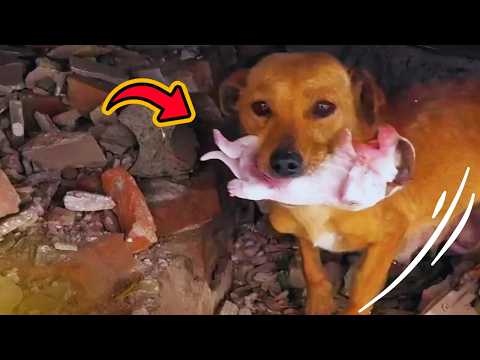 A Desperate Mama