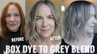 From Box Dye Red to Soft Grey Blend ✨ Corrective Color Transformation (Session 1) screenshot 5