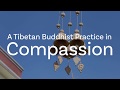 A Brief Compassion Practice with Dr. Miles Neale