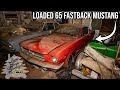 1965 Ford Mustang Fastback Moved For The First Time In 30 Years!!!!