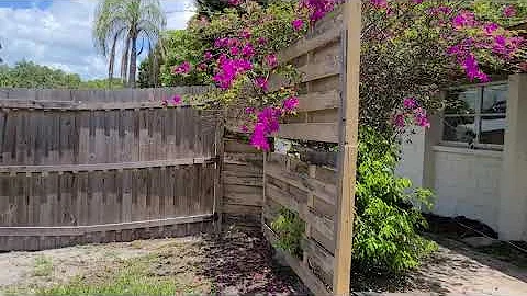 Flip My Florida Yard