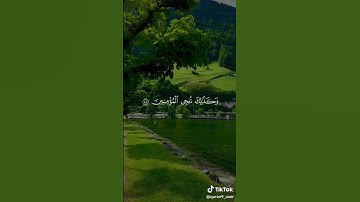 استمع القرآن الكريم واكتب يارب #القرآن_الكريم #comedianmahmoudagamey #محمودعجمي #لايك #ترند #اكسبلور