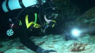 Florida, Gainsville, Ginnie Springs Devil's Eye, Пещеры Флориды
