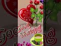 good morning.