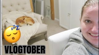 boring lady | day 6 #VLOGTOBER