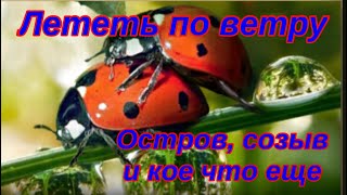 The Ants. Лететь по ветру. Топ муравей screenshot 5