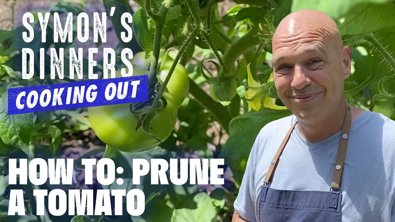 Tomato Gardening Tips with Michael Symon | Symon