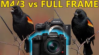 Panasonic GH6 vs Sony A7S III: Micro Four Thirds Caught Up