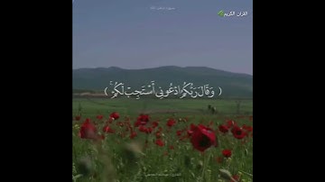 تلاوة خاشعة تريح القلب🌿#سورة_غافر🎙القارئ#عبدالله_الموسى حالات واتساب(وقال ربكم ادعوني أستجب لكم)🌸🌺