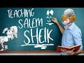 Mew2King Teaches Salem Melee Sheik