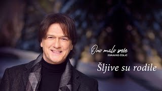 Zdravko Čolić - Šljive su rodile - (Audio 2017) HD