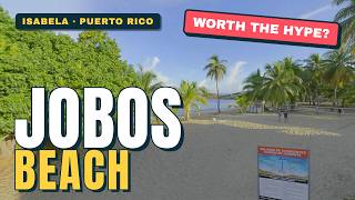 Why Playa Jobos Should Be Your Next Beach Destination