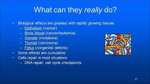 Radiation Protection Lecture 2