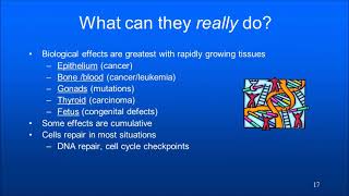Radiation Protection Lecture 2