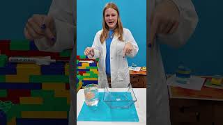 Assistant Dissolves the Shell of an Egg with Vinegar #FamilyFun #FamilyScience #easyscienceforkids