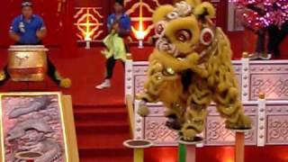 Chinese New Year Lion Dance 2010