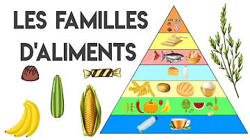 Quels sont les différents types d'aliments ?