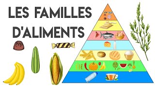 Les familles d'aliments : la pyramide alimentaire