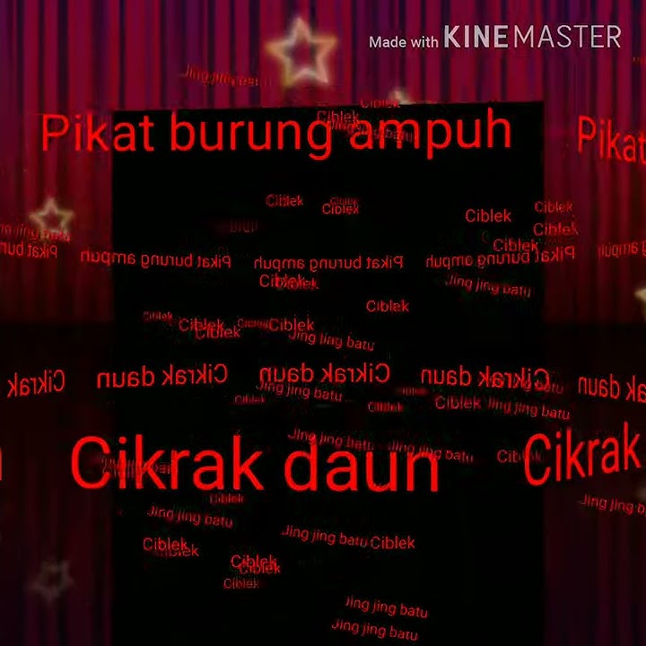 Pikat burung cikrak kutub , jingjing batu , ciblek dll