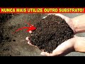 Como fazer substrato de forma simples e fcil  para iniciantes