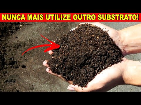 Vídeo: Que solo é necessário para o limão em casa: preparação do substrato