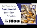 Termite Spray for New Construction Pest Control Deemak Control in Lahore  Pakistan