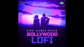 Jene Dena Jeene Dena Jindegi Tu Jine Dena Lofi Song