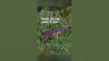 Where would you aim? Deer Shot Placement