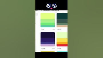 How to add colours through colour palette in Canva - Easy trick to add colours in a click- Canva