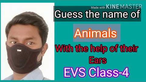 Guessing the name of Animals with the help of their Ears(EVS Class-4|Ear to Ear)By:Tarkeshwar Pandey