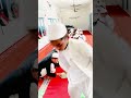 Students madrasa lunch time islamic short