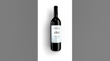 Beer bottle and Beverages 3D Model and Animation Video ad || 3D Animation Advertising Studio (5)